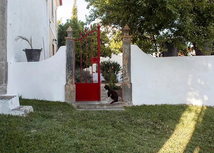 Casa Alfazemas 公寓 Cadaval