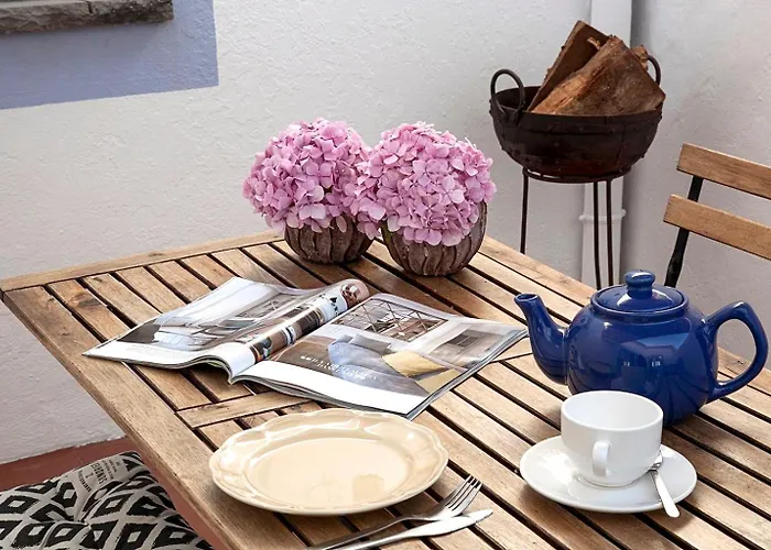 Casa Alfazemas 公寓 *